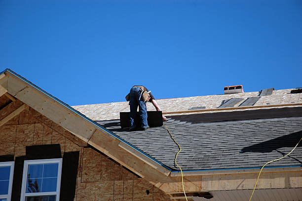 Best Gutter Installation and Roofing  in Tazewell, TN