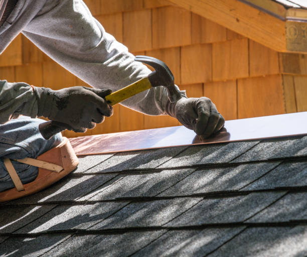 Roof Gutter Cleaning in Tazewell, TN